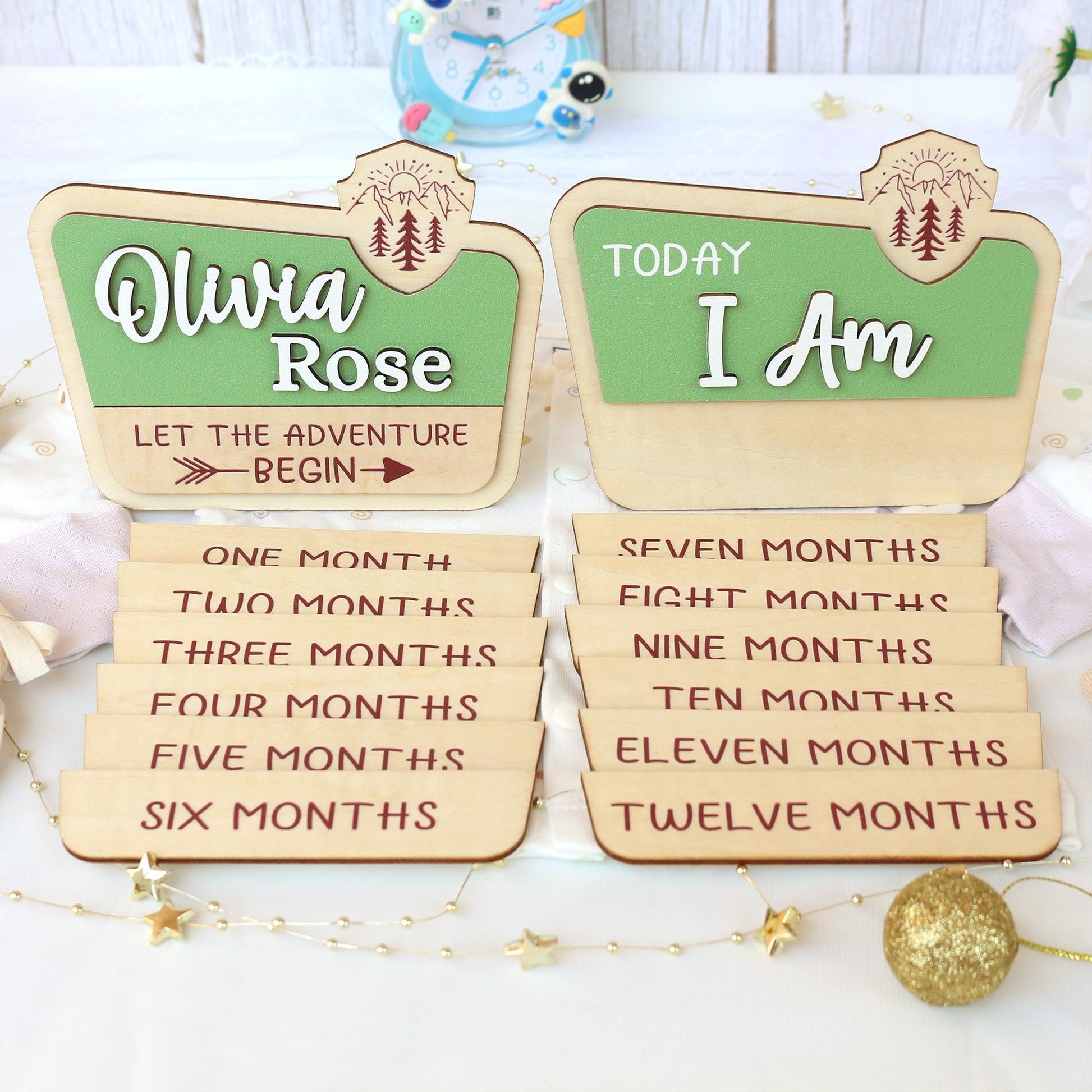 Baby Monthly Milestone Nation Park Baby Name Sign for Hospital Baby Photo Signs Baby Gift Baby Shower Gift