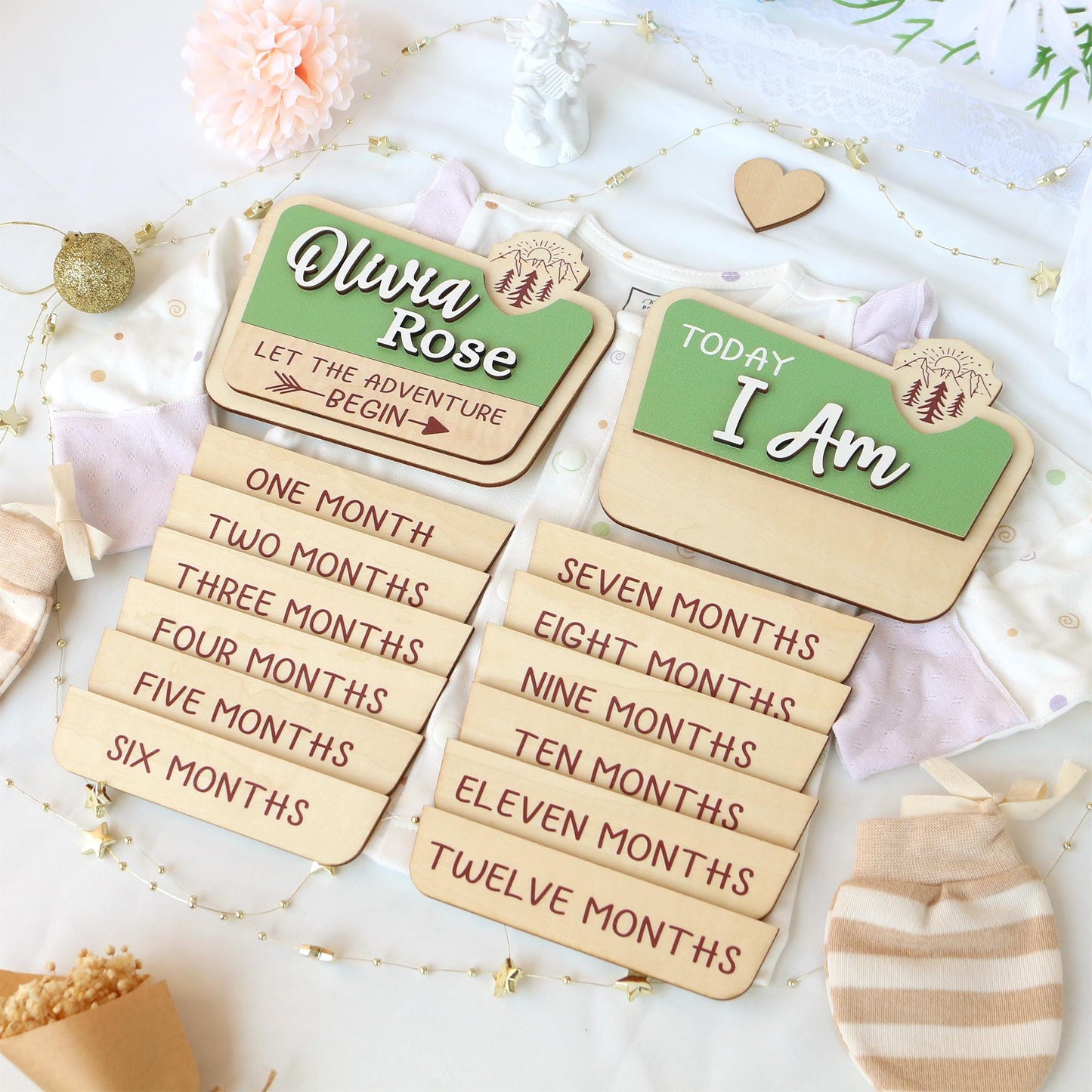 Baby Monthly Milestone Nation Park Baby Name Sign for Hospital Baby Photo Signs Baby Gift Baby Shower Gift