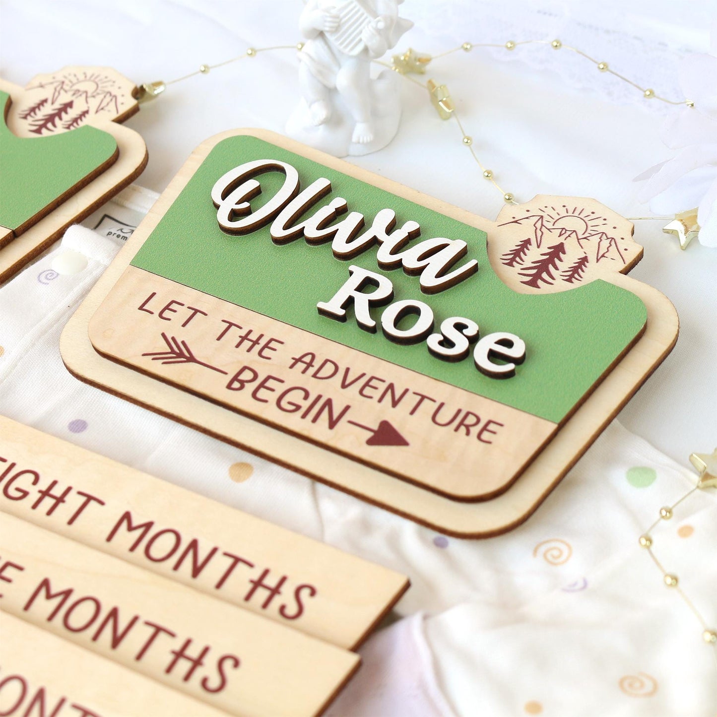 Baby Monthly Milestone Nation Park Baby Name Sign for Hospital Baby Photo Signs Baby Gift Baby Shower Gift