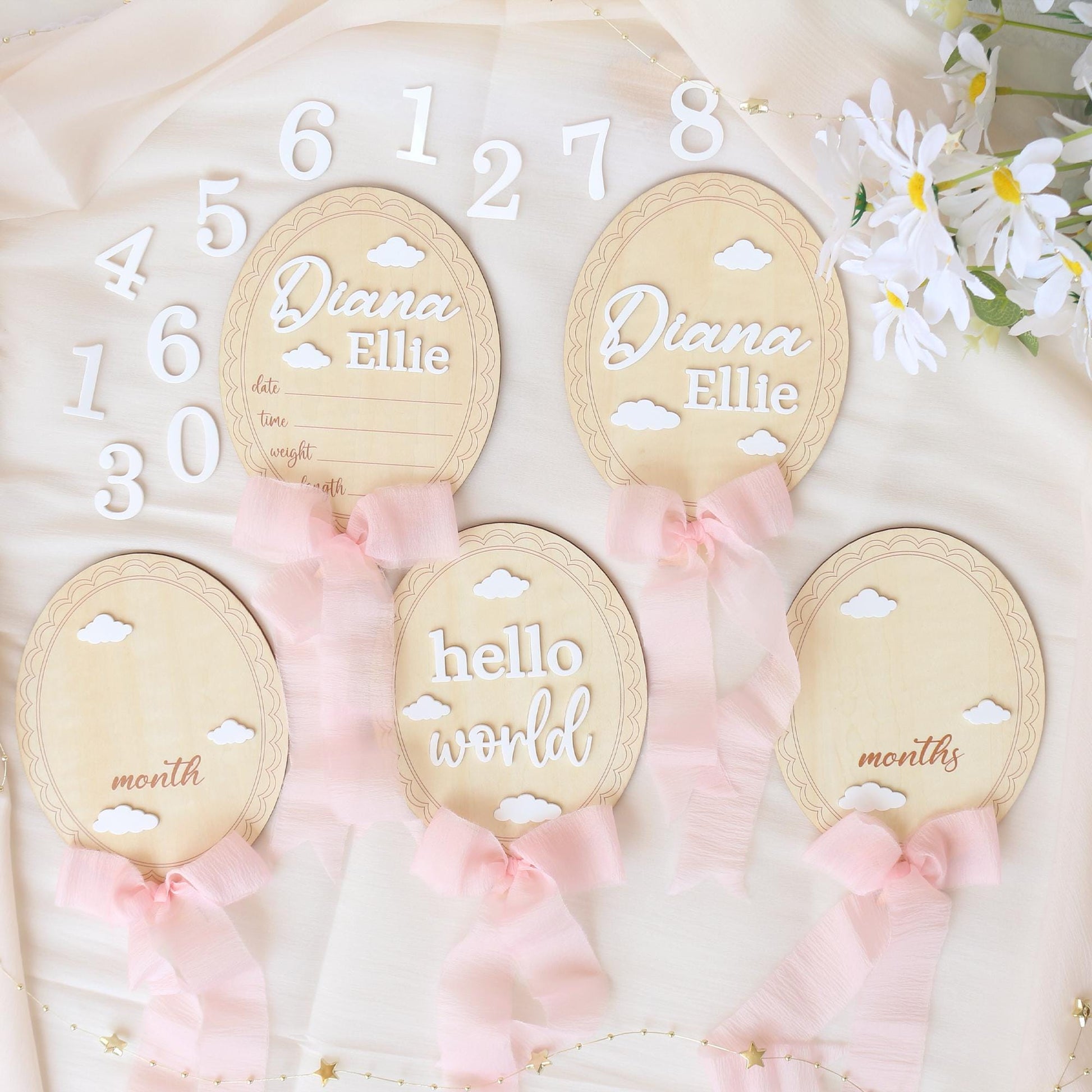 Baby Monthly Milestone Baby Girl Name Sign Baby Girl Announcement Sign for Hospital Baby Photo Signs Baby Gift Baby Shower Gift