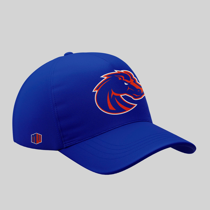 TS1 - "The Blue and the State of Idaho" - Boise State Broncos Football - Special Edition Tshirt 2025