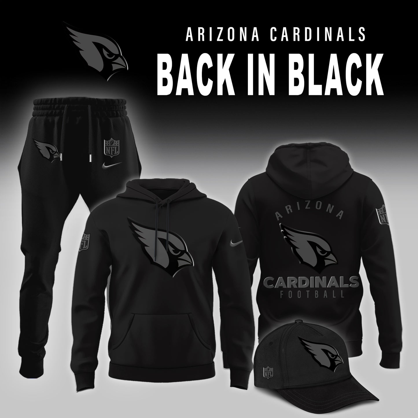 Arizona Cardinals 2025 Back In Black Limited Edition Hoodie