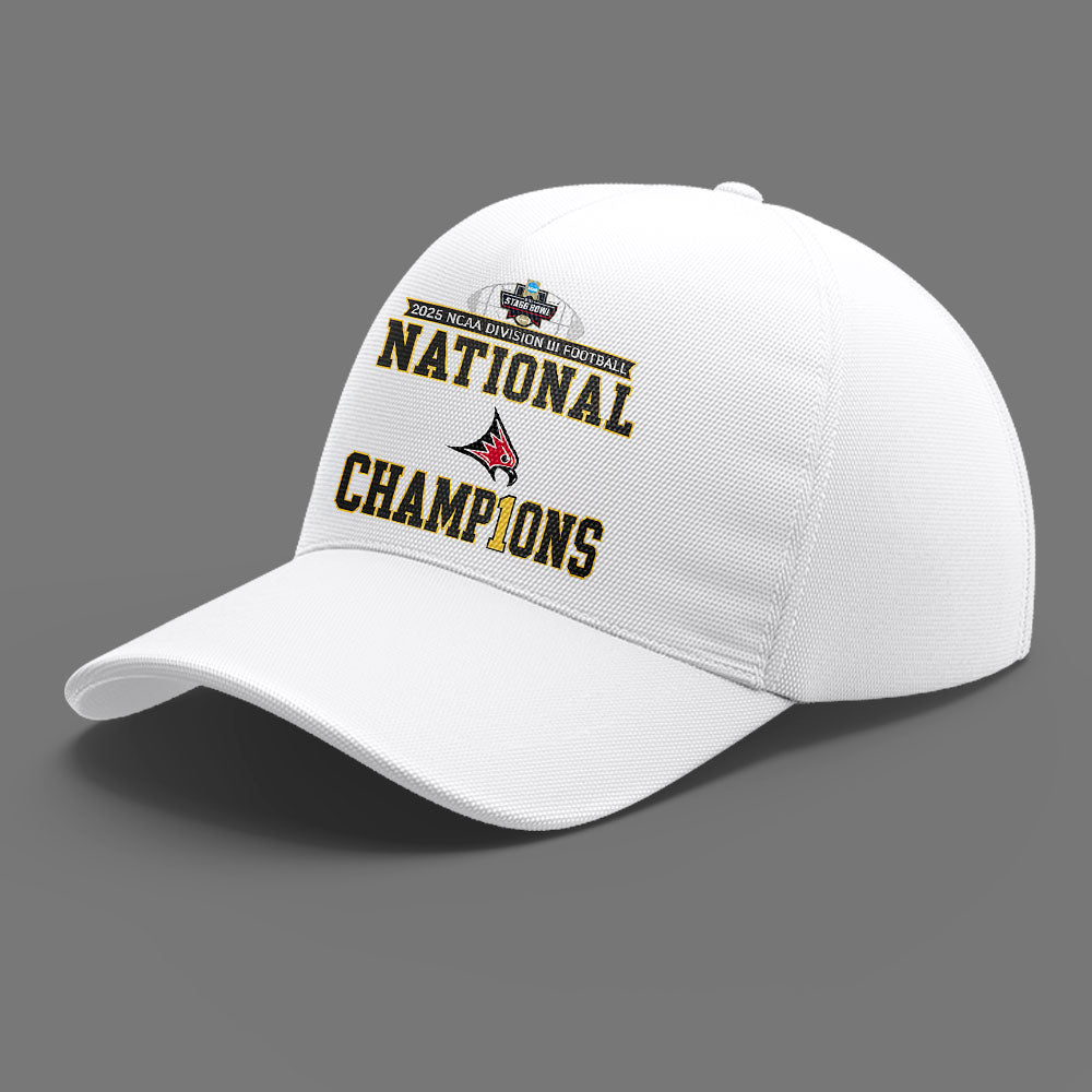 Limited Edition Falcon Football 2025 NCAA Division III National Champions Sweatshirt-LL260105038