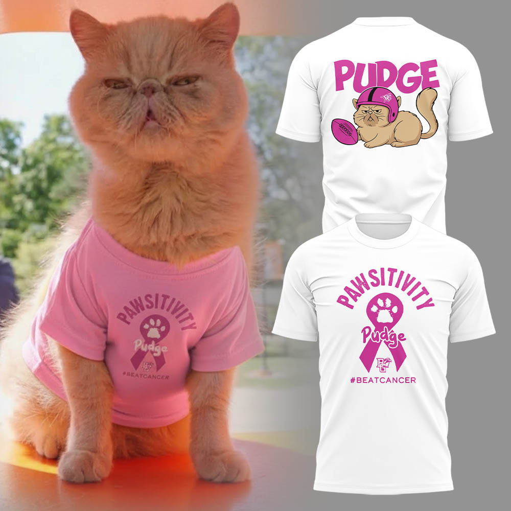 Limited Edition Pudge The Cat T-Shirt Pink v2