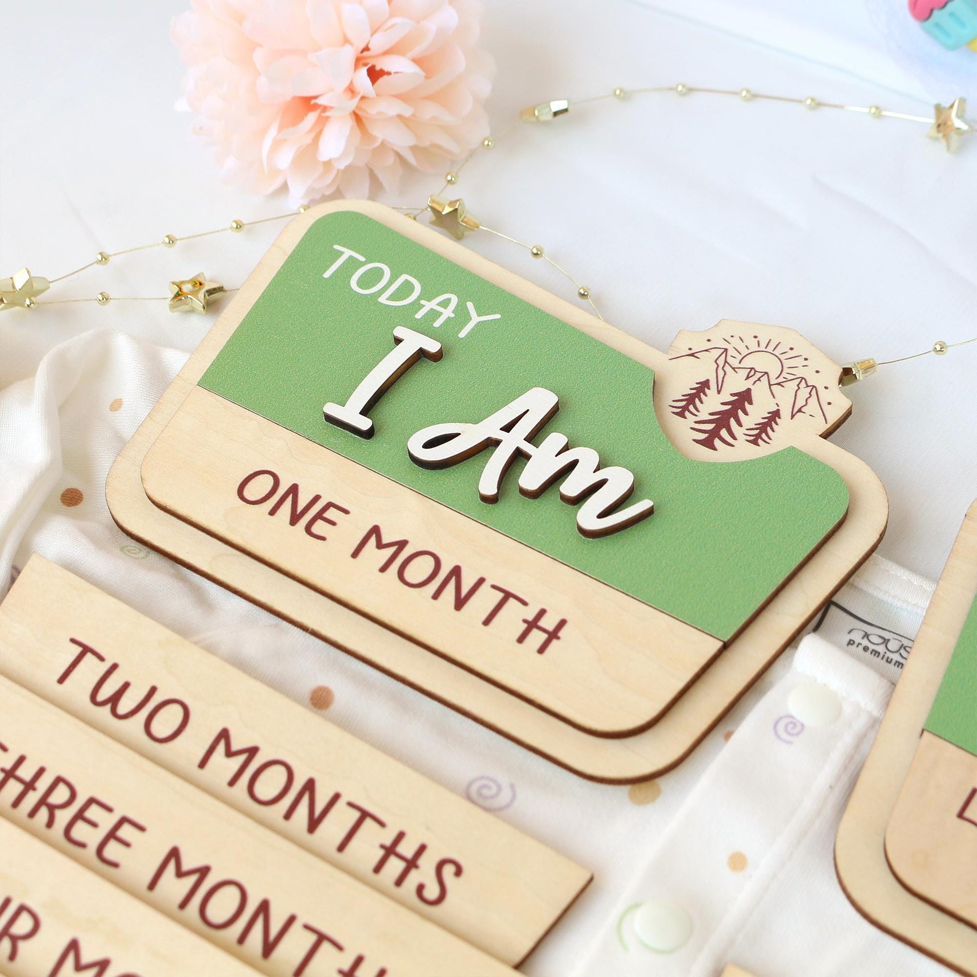 Baby Monthly Milestone Nation Park Baby Name Sign for Hospital Baby Photo Signs Baby Gift Baby Shower Gift