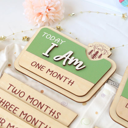 Baby Monthly Milestone Nation Park Baby Name Sign for Hospital Baby Photo Signs Baby Gift Baby Shower Gift