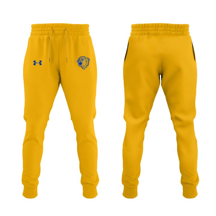 Special 2025 𝐆𝐎𝐋𝐃 𝐑𝐔𝐒𝐇 Montana State Football Hoodie 2